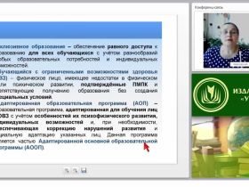 Опыт реализации требований ФГОС обучающихся с ОВЗ в разных формах организации образовательного процесса