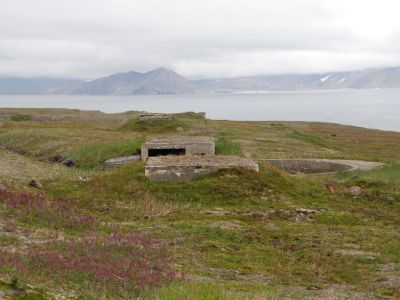 Поселение "Тасик (Чечен)"