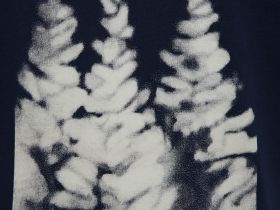 Футболка из хлопка с принтом