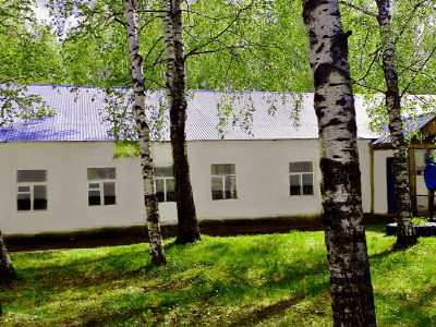 Алекино-Полянская поселенческая библиотека