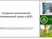 Создание инклюзивной развивающей среды в ДОО