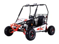 Багги LUCKY DUCK Gokart UVX 125