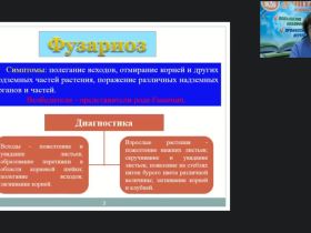 Международный вебинар "Защита декоративных цветочных культур от болезней в открытом и защищенном грунте. Комплексная защита декоративных культур от вредителей, болезней и неблагоприятных метеорологических условий"