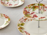 Тарелка Шиповник/Rose hip II