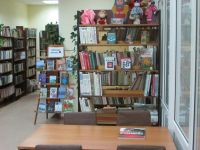 Вакинская сельская библиотека