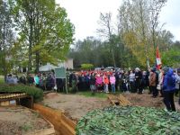 Центр «Русино»