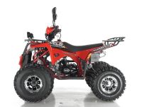 Квадроцикл WELS Thunder EVO X