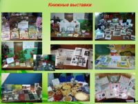 Большеметескинская сельская библиотека