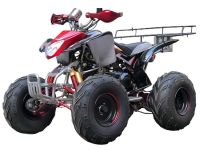 Квадроцикл BISON Raptor 150 Sport