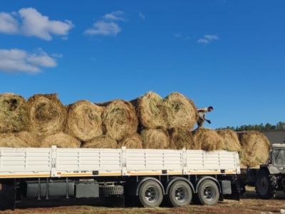 Минсельхоз доставит недостающие корма пострадавшим от паводка районам