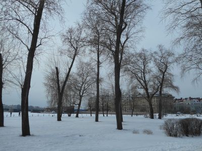 Скверы западного, северного и южного берегов Заячьего острова