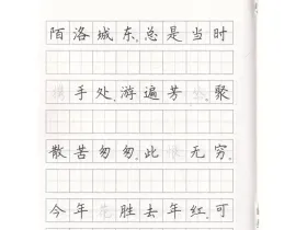 Прописи по каллиграфии "Сунские цы"