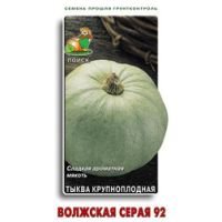Тыква Волжская серая 92