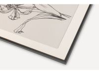 Картина Ирис-1 Графика 20x30