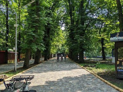 Государственная природная историко-культурная заповедная территория "Бабина роща"