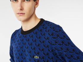 Мужской свитер Lacoste свободного кроя