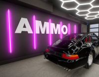 Car Detailing Simulator - AMMO NYC DLC (PC)