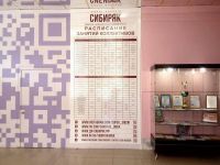 Областной центр культуры «Сибиряк» на ул. Красный Путь