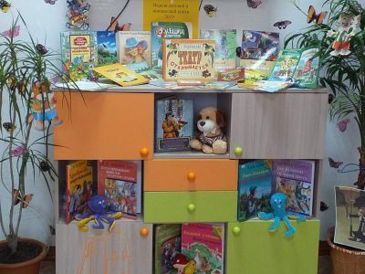 Садовская сельская модельная библиотека