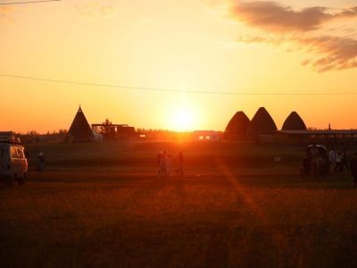 Пока в Якутии была ночь: назначение в Нигере, африканская чума свиней и взрыв в турецком порту