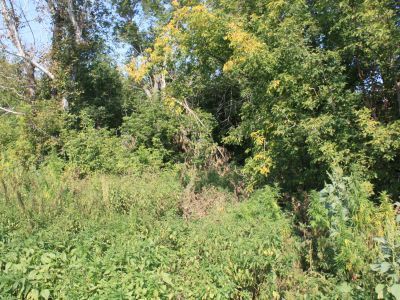 Братская могила партизан