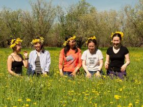 Луковый сплав