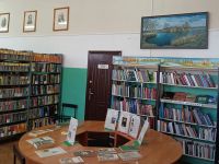 Библиотека городского поселения Петров Вал