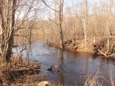 Усадебный парк