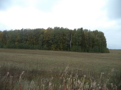 Священная роща