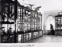 Зоологический музей Томского государственного университета