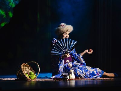 Крокодил души моей (Театр эстрады им. Аркадия Райкина)