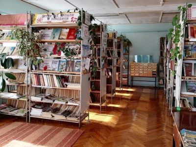 Арборская модельная библиотека