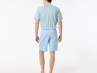 Мужские спортивные шорты Lacoste