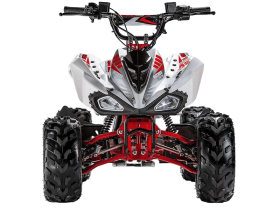 Квадроцикл ACCESS AMS 110 MiniSport