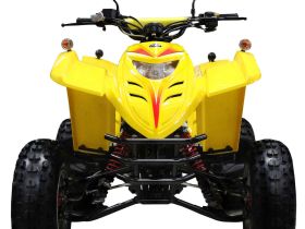 Квадроцикл ADLY 100