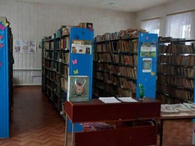 Терновская сельская библиотека
