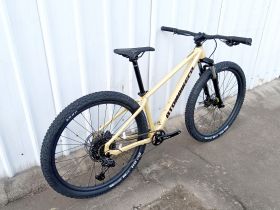 Горный велосипед Atom Xtrail X10 29, год 2025, цвет Серый, ростовка 15