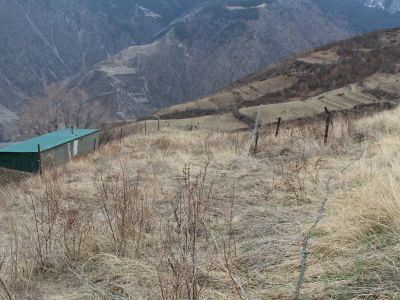 Остатки древнего кладбища