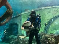 Воронежский океанариум