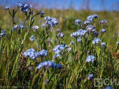 Народные приметы на 25 июля: что нельзя делать в День Прокла Плакальщика