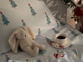 Постельное белье детское Magic Sleigh