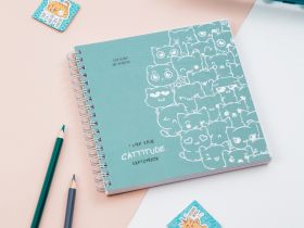 Скетчбук MESHU "Cat wave"150*150 мм, 60 л, 120 г, на гребне, soft-touch