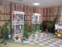 Библиотека № 74 (фонд детской литературы № 1)