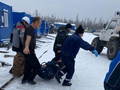 Медведь напал на двоих мужчин в Ленском районе Якутии