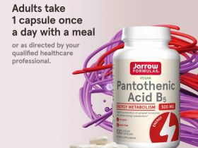 Jarrow Formulas, пантотеновая кислота (витамин B5), 500 мг, 100 вегетарианских капсул
