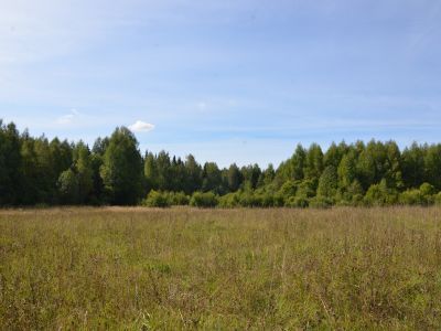 Священная роща