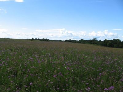 Здание школы, в которой учился Герой Советского Союза Н.П. Кузнецов