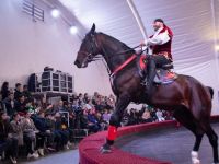 Конный театр «Нарты» г. Владикавказа