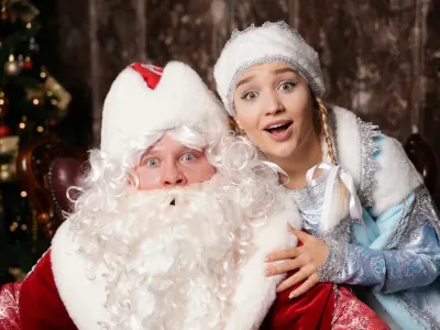 Билеты на Дед Мороз и Снегурочка в сказке о дружбе Тигрёнка и Медвежонка (VS Театр) / Театр | Афиша | ИнфоТаймс