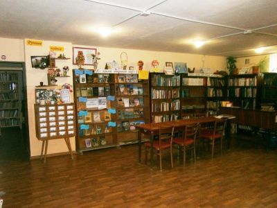 Родниковская сельская библиотека-филиал № 12